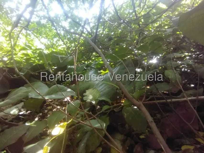 Terreno (Residencial) en Venta en Centro, Carabobo - 6