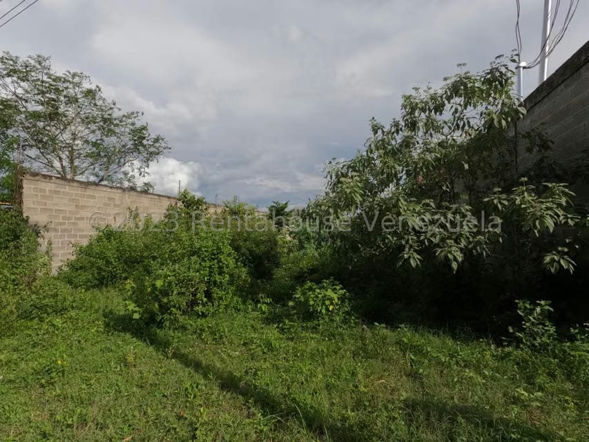 Comercial (Local Comercial) en Venta en El Mayal, Lara - 33