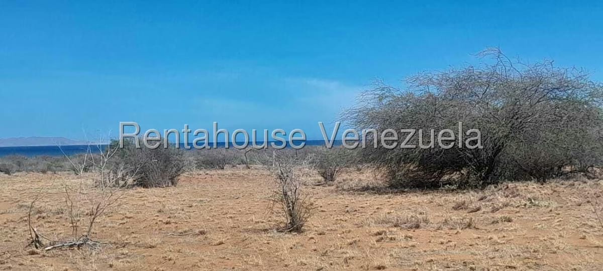 Terreno (Comercial) en Venta en Taguantar, Nueva Esparta - 4