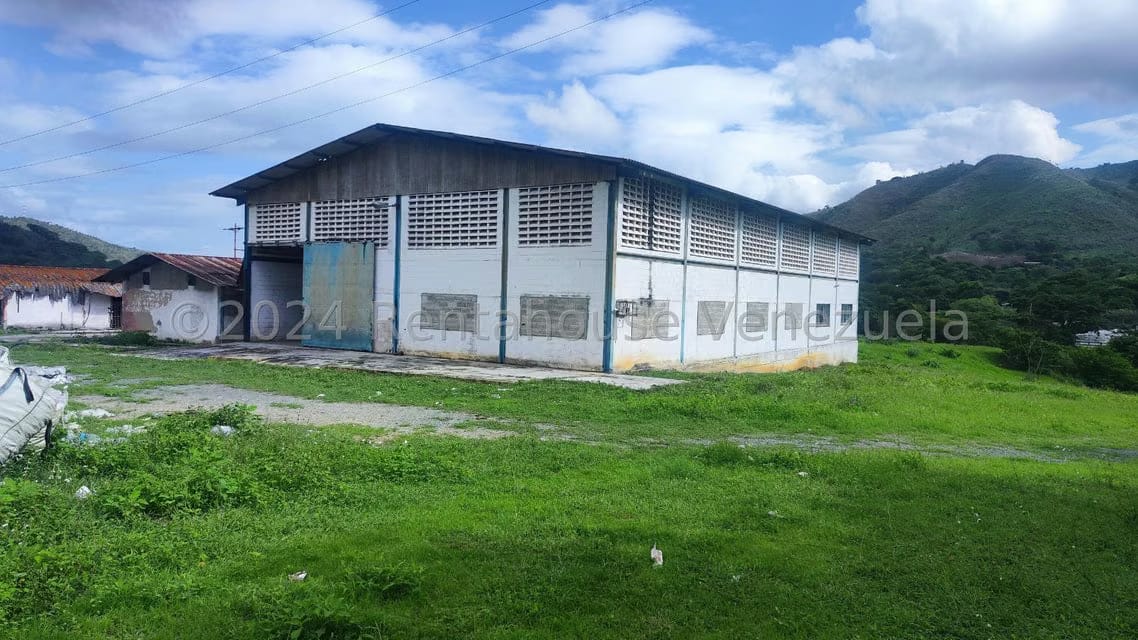 Comercial (Galpon - Deposito) en Venta en Las Guacharacas, Aragua - 12