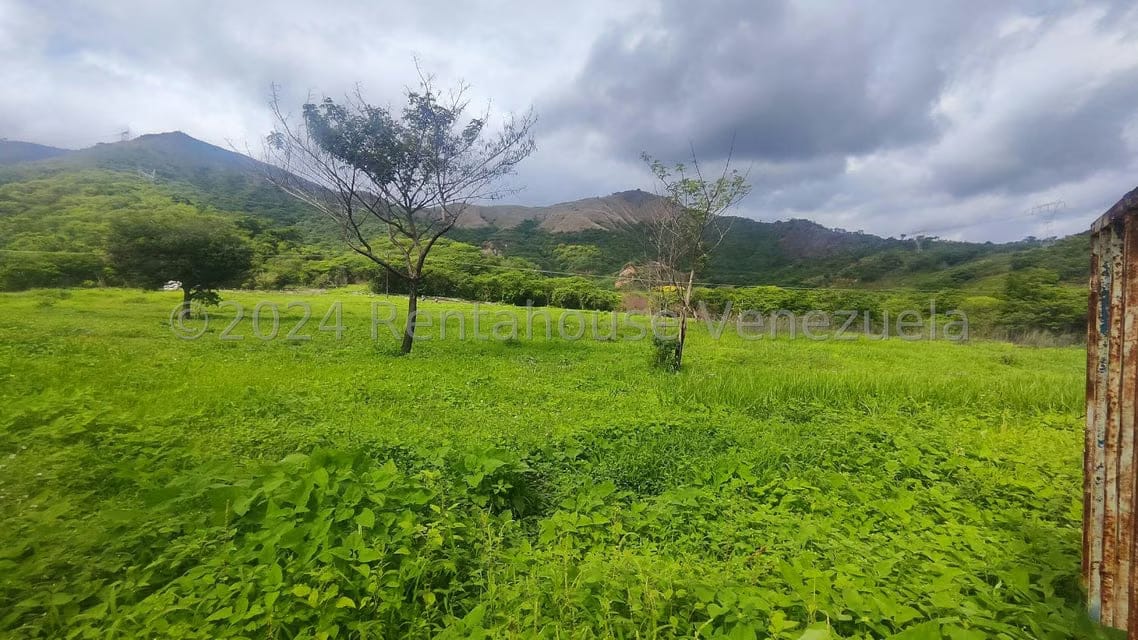 Comercial (Galpon - Deposito) en Venta en Las Guacharacas, Aragua - 15