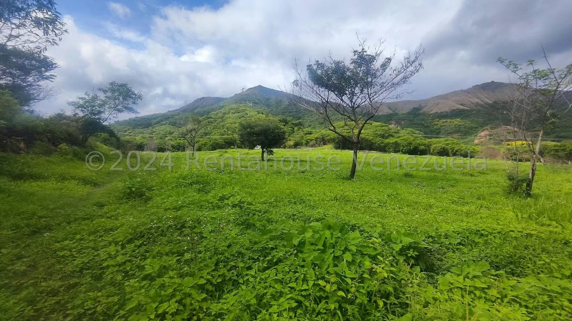 Comercial (Galpon - Deposito) en Venta en Las Guacharacas, Aragua - 16
