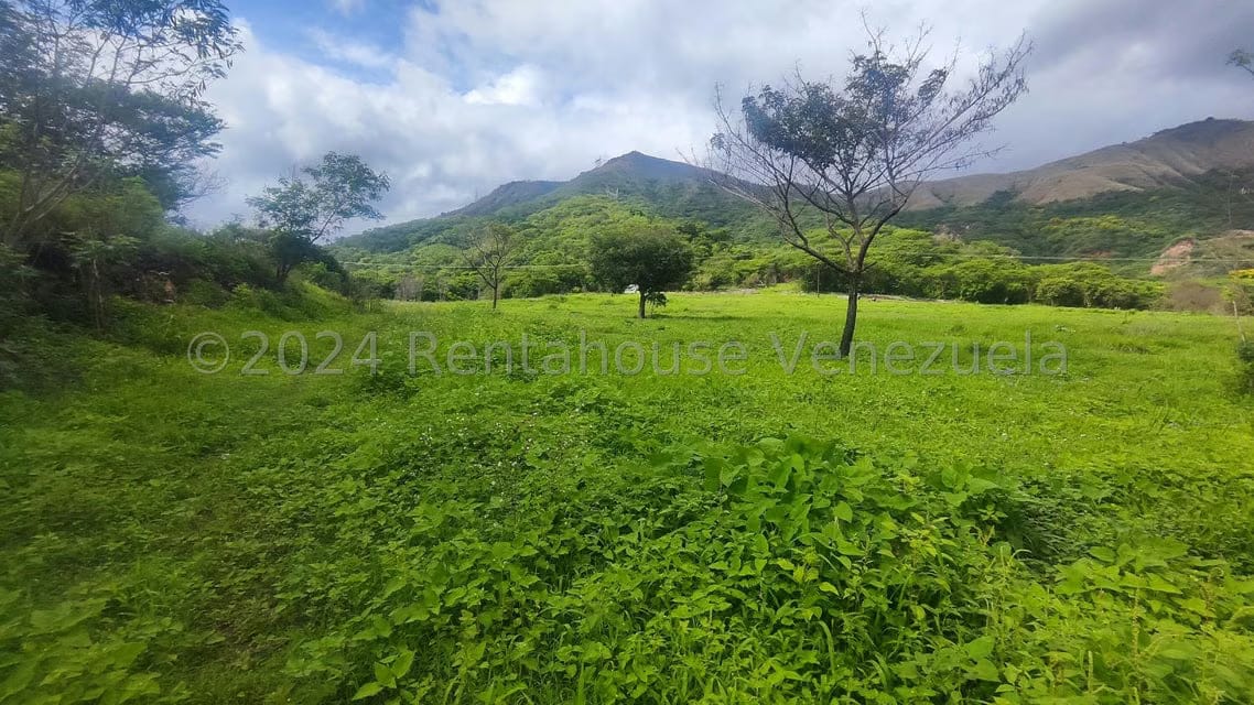 Comercial (Galpon - Deposito) en Venta en Las Guacharacas, Aragua - 17