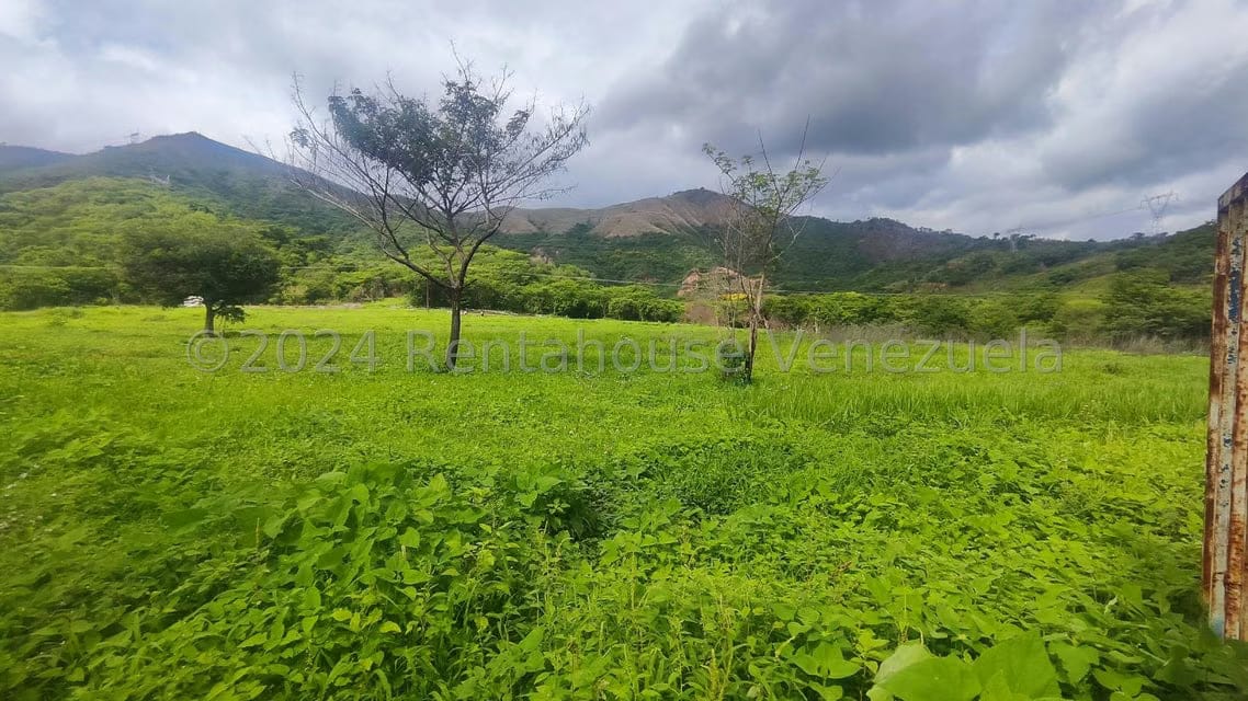Comercial (Galpon - Deposito) en Venta en Las Guacharacas, Aragua - 18