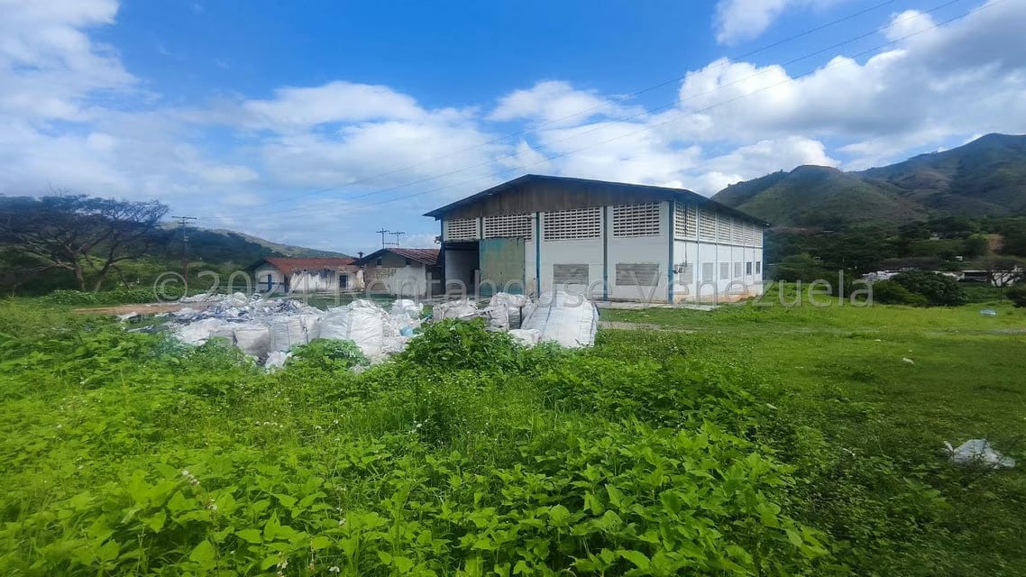 Comercial (Galpon - Deposito) en Venta en Las Guacharacas, Aragua - 19