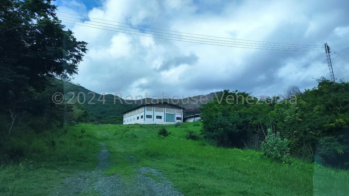 Comercial (Galpon - Deposito) en Venta en Las Guacharacas, Aragua - 40