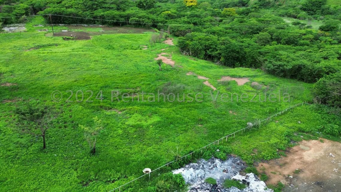 Comercial (Galpon - Deposito) en Venta en Las Guacharacas, Aragua - 5
