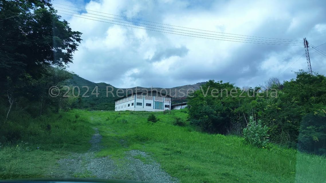 Comercial (Galpon - Deposito) en Venta en Las Guacharacas, Aragua - 42