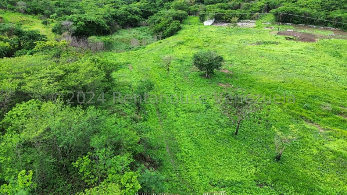 Comercial (Galpon - Deposito) en Venta en Las Guacharacas, Aragua - 7