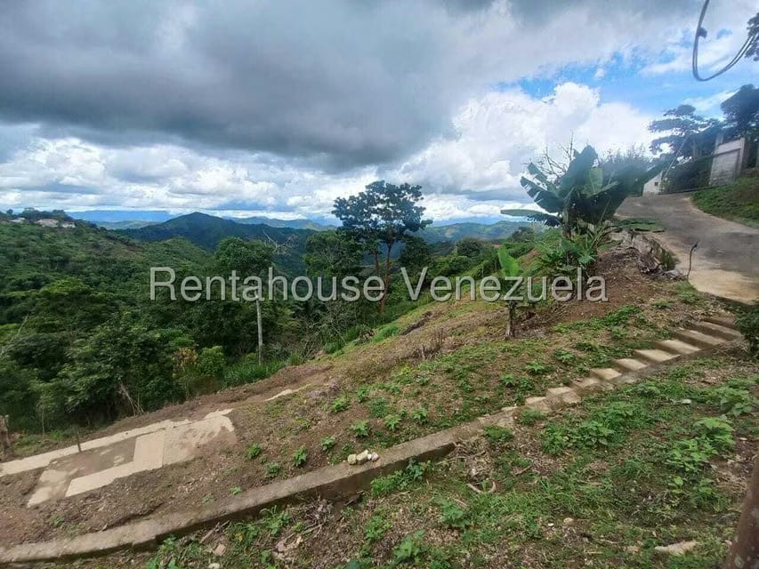 Casa (1 Nivel) en Venta en Avenida Principal Cecilio Acosta, Miranda - 29