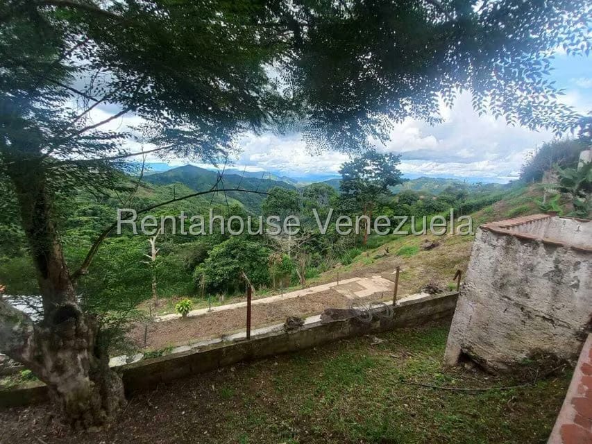 Casa (1 Nivel) en Venta en Avenida Principal Cecilio Acosta, Miranda - 31
