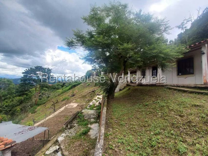 Casa (1 Nivel) en Venta en Avenida Principal Cecilio Acosta, Miranda - 34