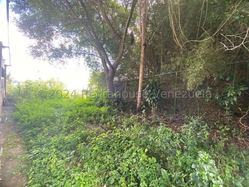 Terreno (Comercial) en Venta en El Hatillo, Distrito Metropolitano - 3