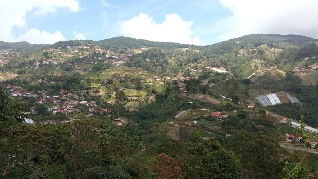 Terreno en venta en la Colonia Tovar
