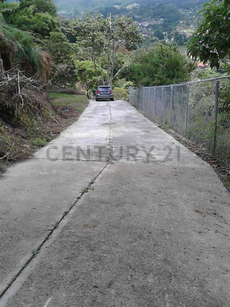 Terreno en venta en la Colonia Tovar - 3