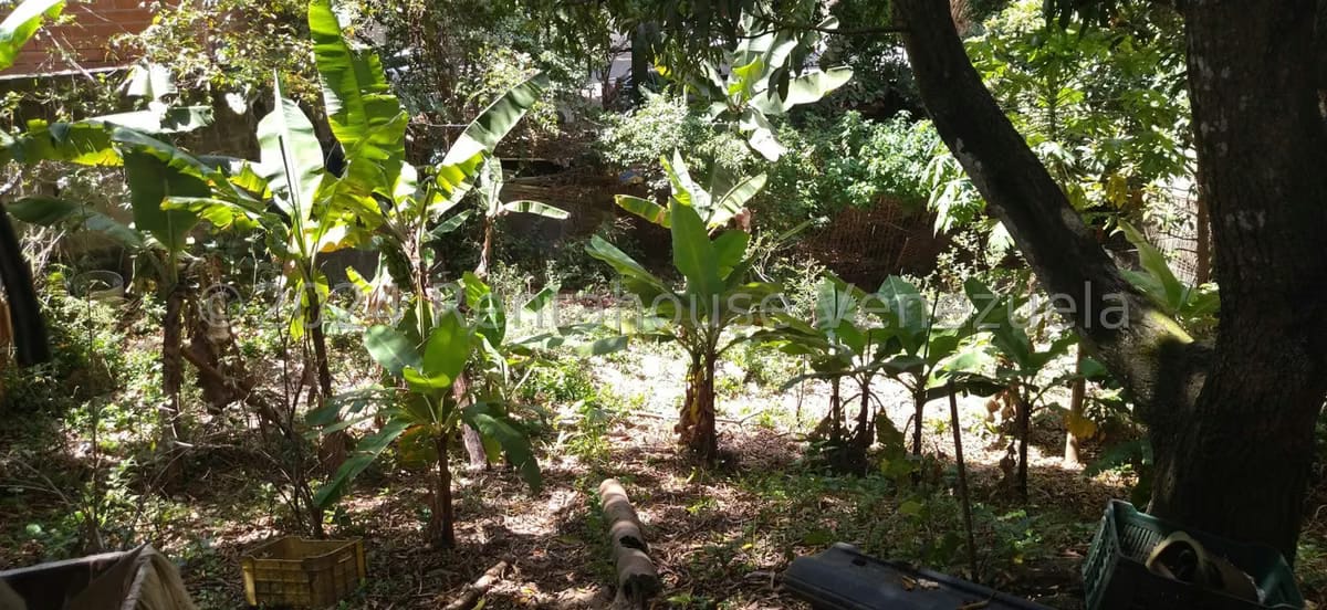 Terreno (Residencial) en Venta en Sebucan, Distrito Metropolitano - 13