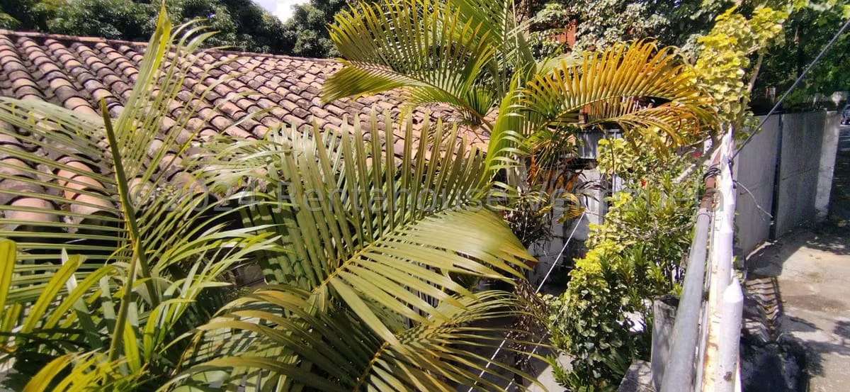 Terreno (Residencial) en Venta en Sebucan, Distrito Metropolitano - 5