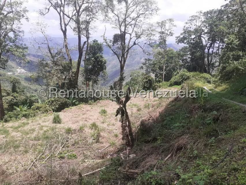 Terreno (Residencial) en Venta en San Diego de los Altos, Miranda - 6
