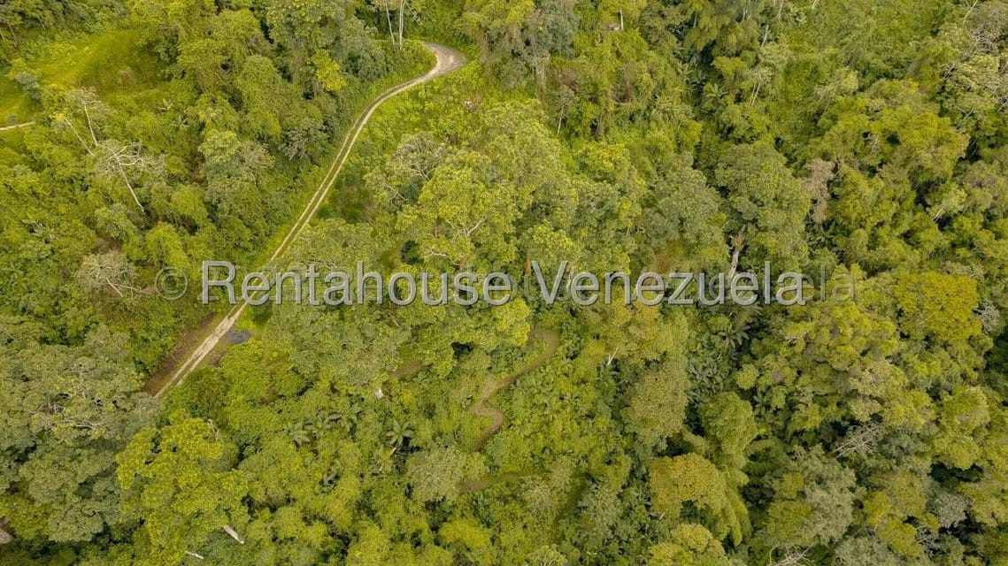 Terreno (Residencial) en Venta en San Diego de los Altos, Miranda - 8