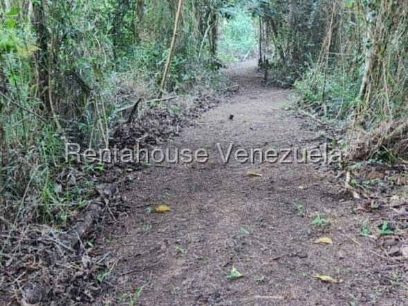 Terreno (Finca) en Venta en Gavilan, Distrito Metropolitano