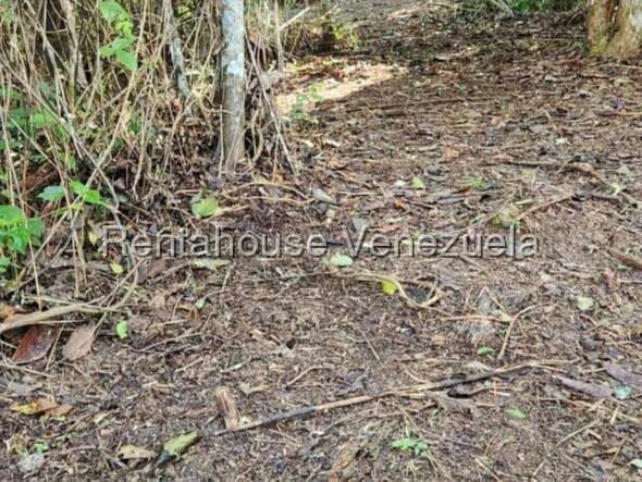 Terreno (Finca) en Venta en Gavilan, Distrito Metropolitano - 2