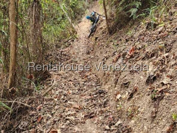 Terreno (Finca) en Venta en Gavilan, Distrito Metropolitano - 16