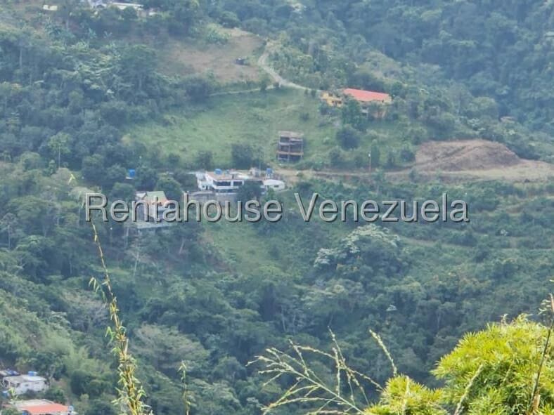 Terreno (Finca) en Venta en Gavilan, Distrito Metropolitano - 18