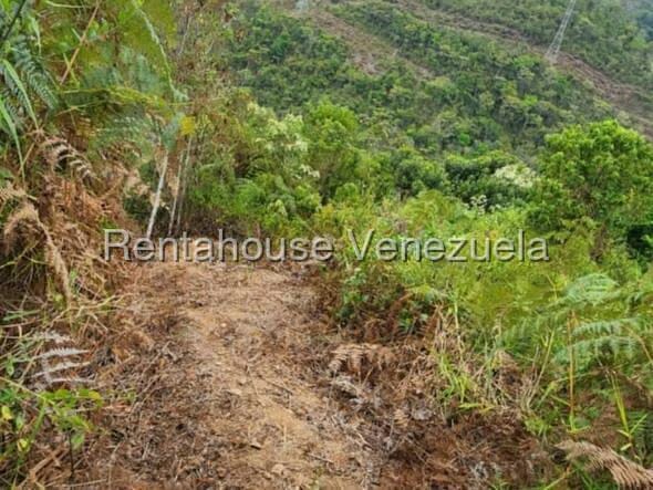 Terreno (Finca) en Venta en Gavilan, Distrito Metropolitano - 19
