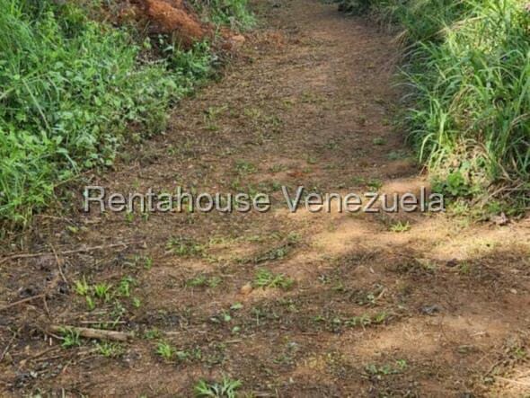 Terreno (Finca) en Venta en Gavilan, Distrito Metropolitano - 3