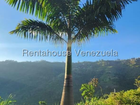 Terreno (Finca) en Venta en Gavilan, Distrito Metropolitano - 22