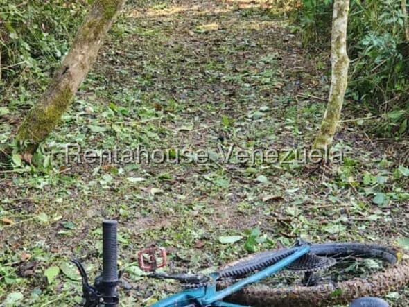 Terreno (Finca) en Venta en Gavilan, Distrito Metropolitano - 5