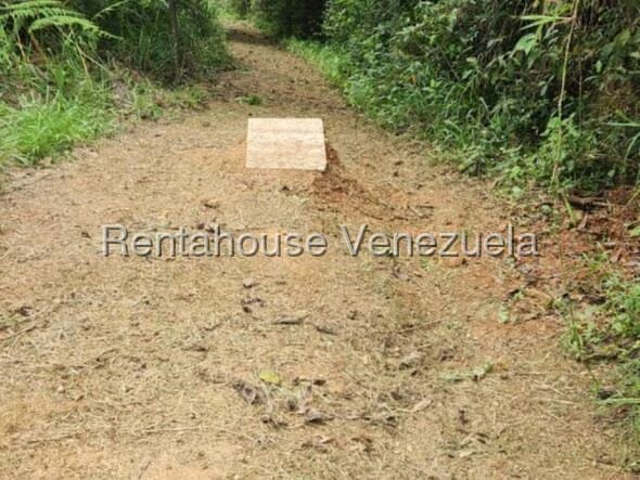 Terreno (Finca) en Venta en Gavilan, Distrito Metropolitano - 7