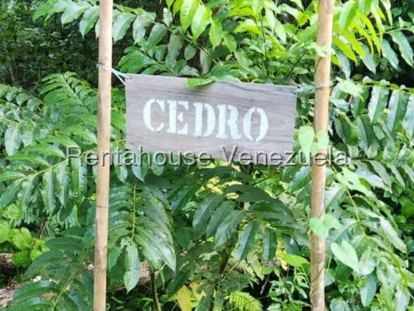 Terreno (Finca) en Venta en Gavilan, Distrito Metropolitano - 8