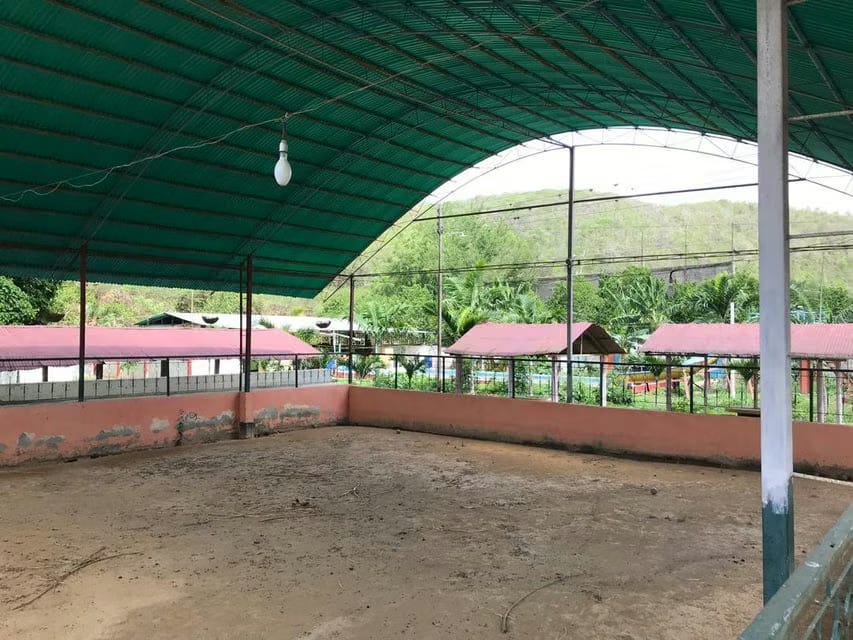 Terreno (Industrial) en Venta en Municipio Peña, Yaracuy - 11