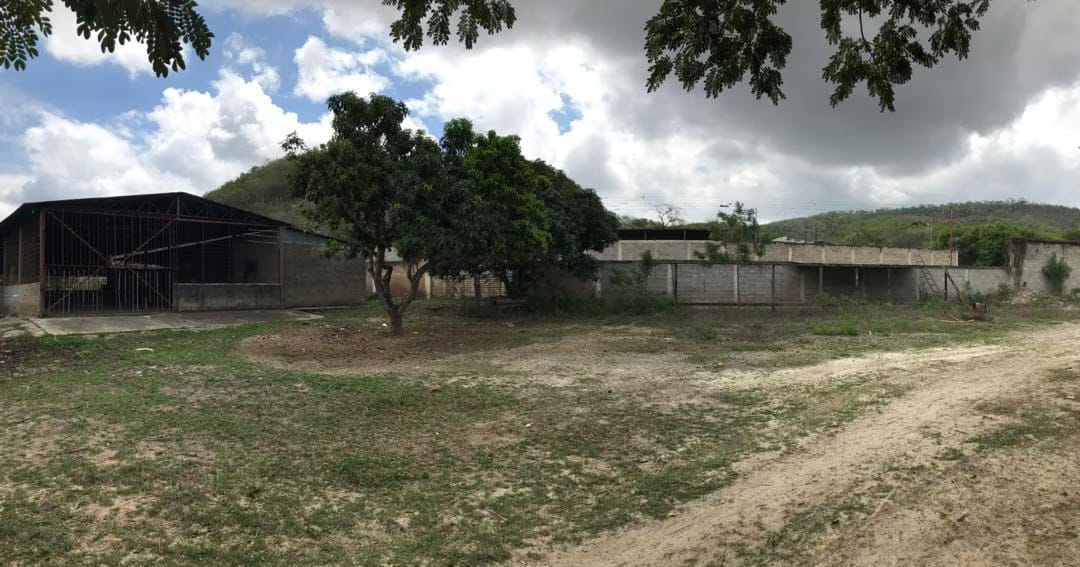 Terreno (Industrial) en Venta en Municipio Peña, Yaracuy - 19
