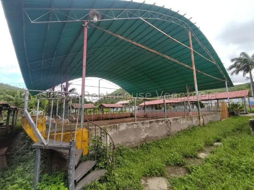 Terreno (Industrial) en Venta en Municipio Peña, Yaracuy - 32