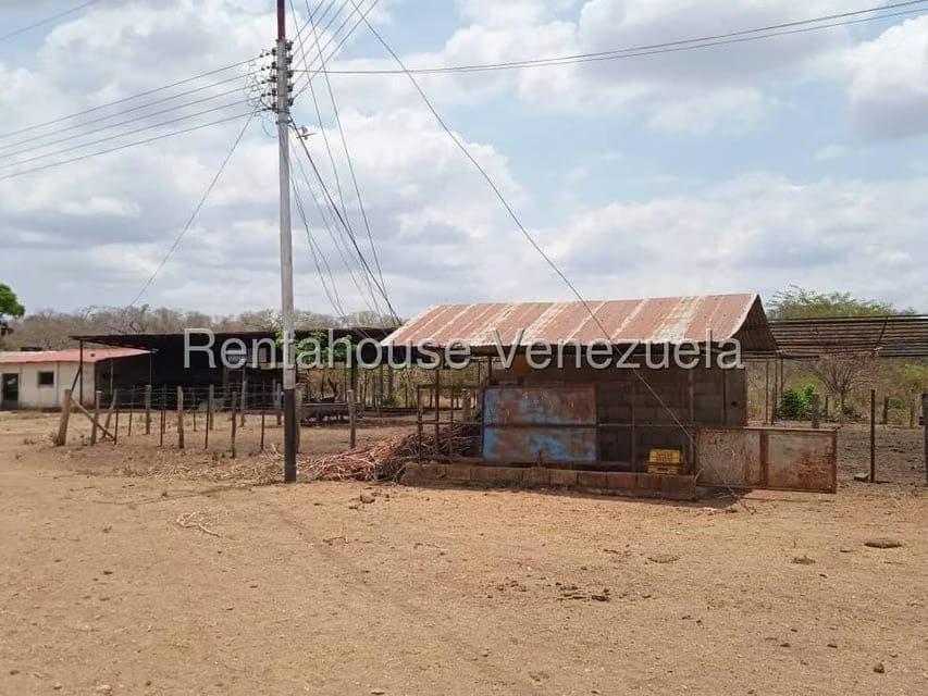 Negocios y Empresas (Comercio) en Venta en Carretera Caracas-Barbacoa, Aragua - 11