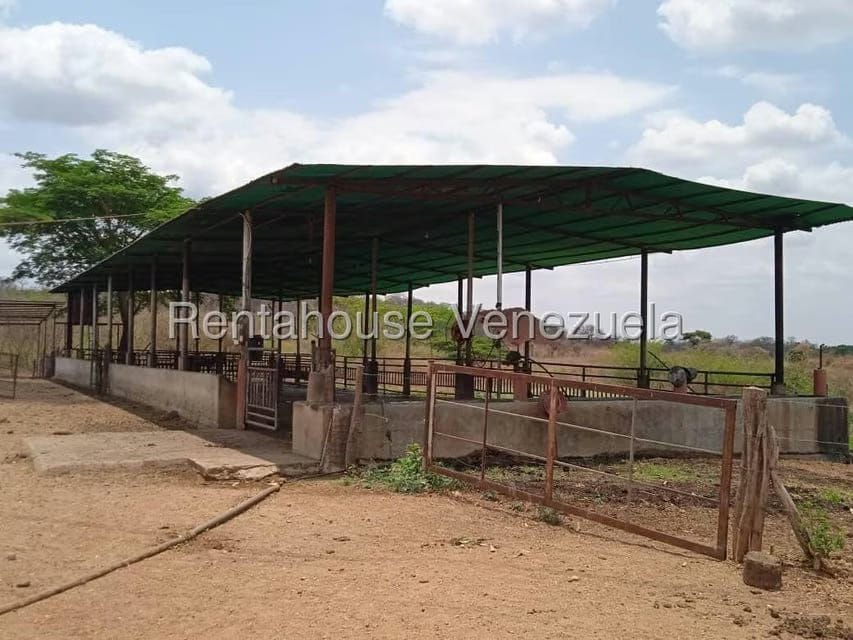 Negocios y Empresas (Comercio) en Venta en Carretera Caracas-Barbacoa, Aragua - 14