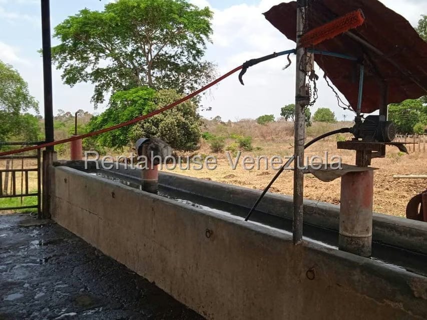 Negocios y Empresas (Comercio) en Venta en Carretera Caracas-Barbacoa, Aragua - 15