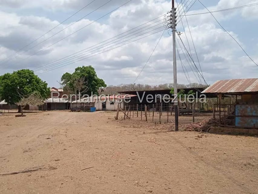 Negocios y Empresas (Comercio) en Venta en Carretera Caracas-Barbacoa, Aragua - 16