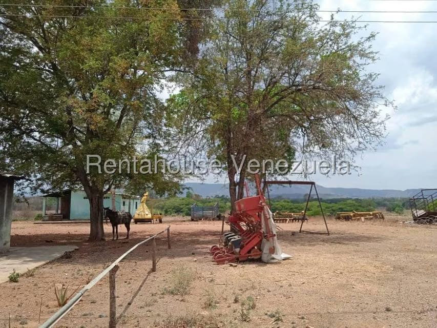 Negocios y Empresas (Comercio) en Venta en Carretera Caracas-Barbacoa, Aragua - 18