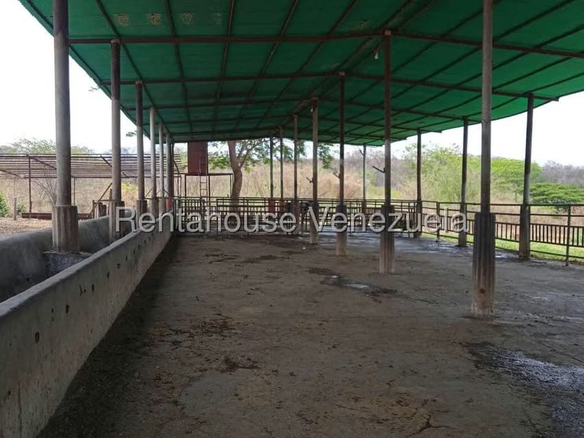 Negocios y Empresas (Comercio) en Venta en Carretera Caracas-Barbacoa, Aragua - 20
