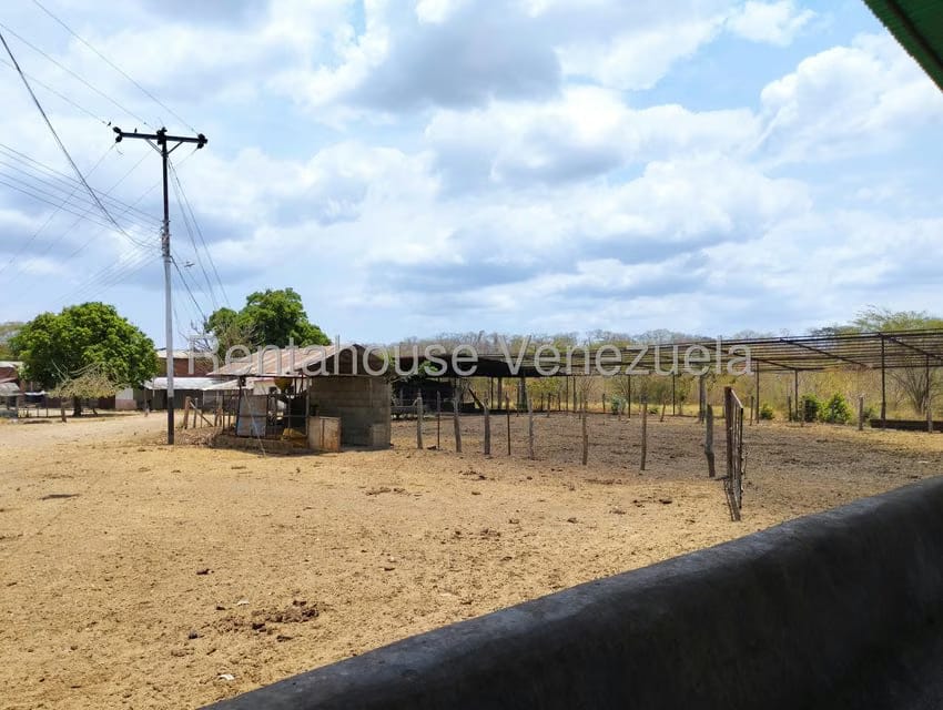 Negocios y Empresas (Comercio) en Venta en Carretera Caracas-Barbacoa, Aragua - 24