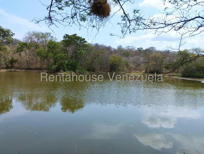 Negocios y Empresas (Comercio) en Venta en Carretera Caracas-Barbacoa, Aragua - 28