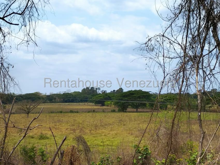 Negocios y Empresas (Comercio) en Venta en Carretera Caracas-Barbacoa, Aragua - 32