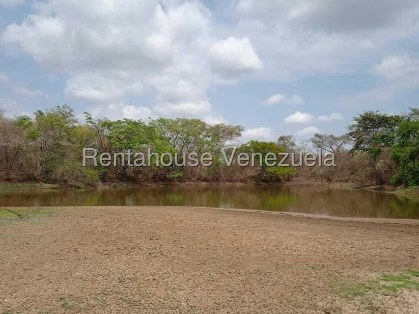 Negocios y Empresas (Comercio) en Venta en Carretera Caracas-Barbacoa, Aragua - 34