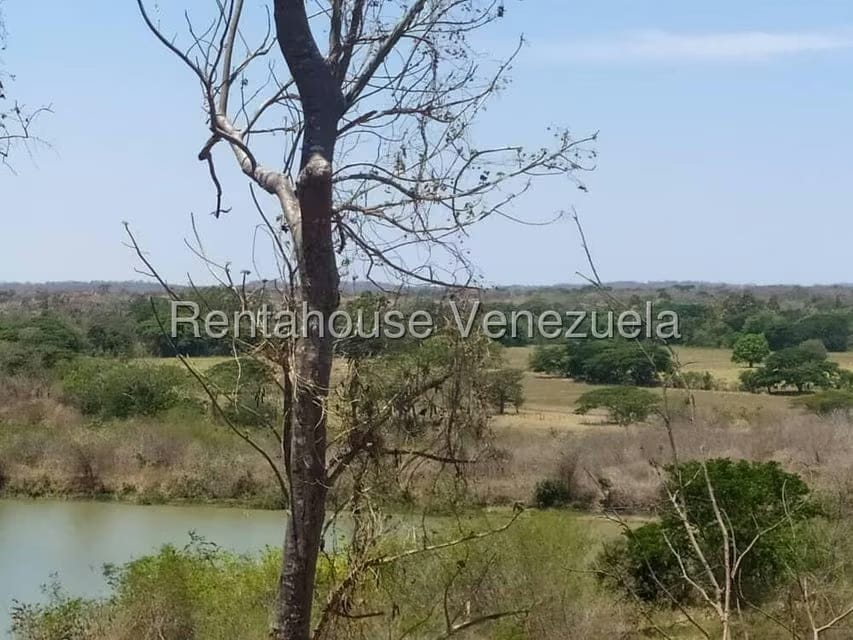 Negocios y Empresas (Comercio) en Venta en Carretera Caracas-Barbacoa, Aragua - 35