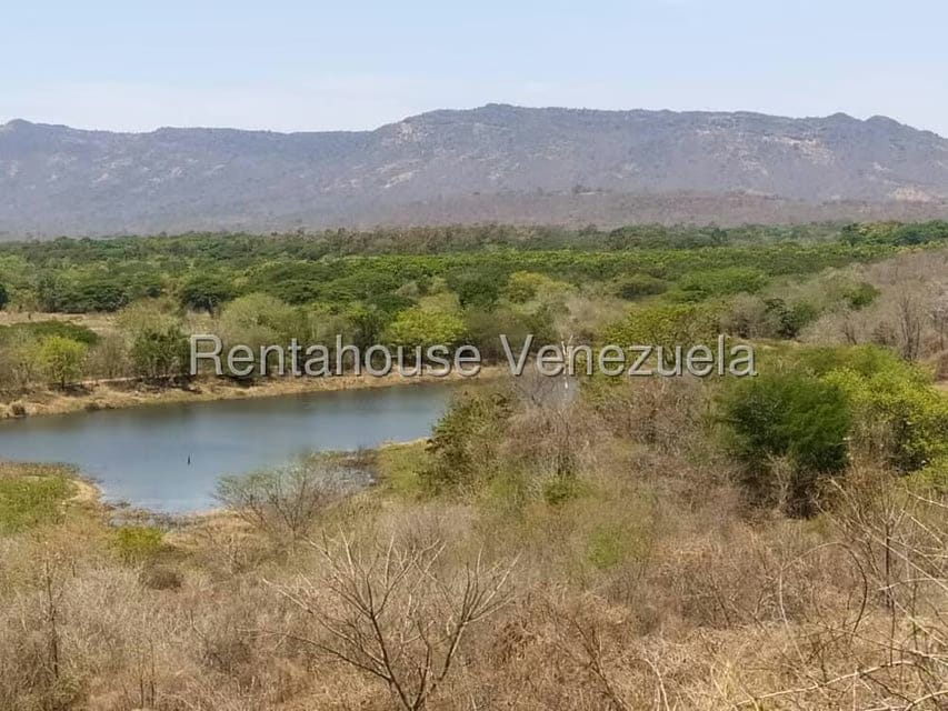 Negocios y Empresas (Comercio) en Venta en Carretera Caracas-Barbacoa, Aragua - 37