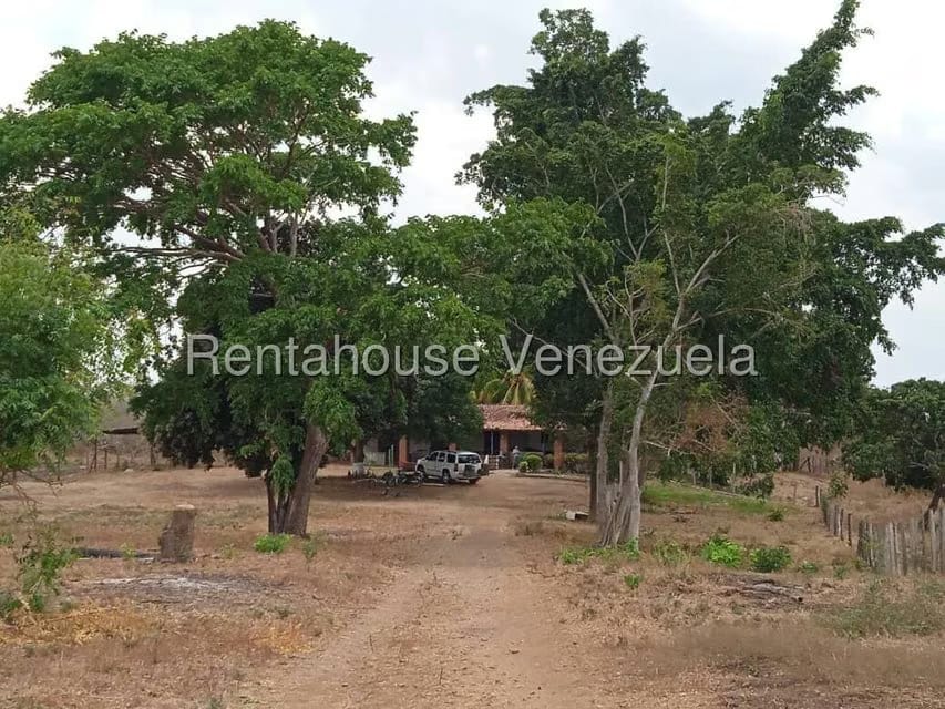 Negocios y Empresas (Comercio) en Venta en Carretera Caracas-Barbacoa, Aragua - 38