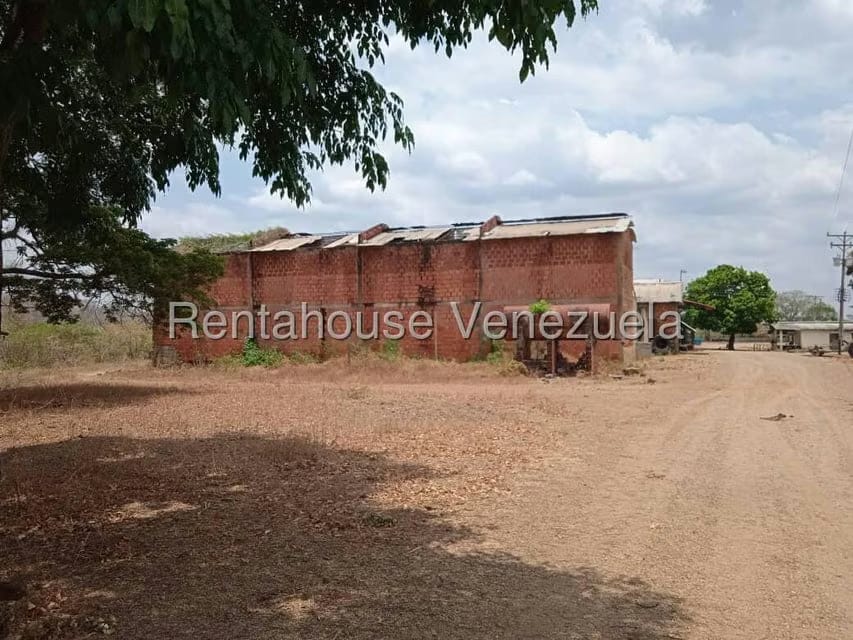 Negocios y Empresas (Comercio) en Venta en Carretera Caracas-Barbacoa, Aragua - 47